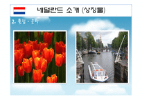 [이벤트론] 네덜란드 튤립축제를 통한 비슬산 참꽃축제의 변화-6