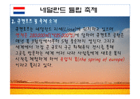 [이벤트론] 네덜란드 튤립축제를 통한 비슬산 참꽃축제의 변화-8
