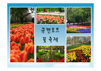 [이벤트론] 네덜란드 튤립축제를 통한 비슬산 참꽃축제의 변화-9
