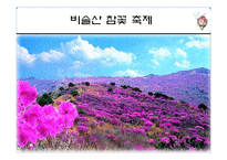 [이벤트론] 네덜란드 튤립축제를 통한 비슬산 참꽃축제의 변화-18