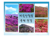 [이벤트론] 네덜란드 튤립축제를 통한 비슬산 참꽃축제의 변화-19