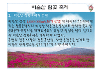 [이벤트론] 네덜란드 튤립축제를 통한 비슬산 참꽃축제의 변화-20