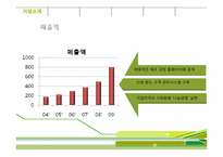 [국제경영] 천호식품 브라질 진출전략-11