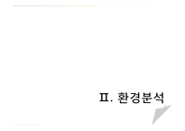 [국제경영] 천호식품 브라질 진출전략-12