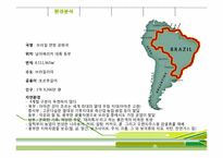 [국제경영] 천호식품 브라질 진출전략-15
