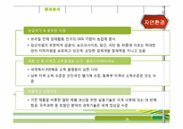[국제경영] 천호식품 브라질 진출전략-16