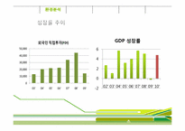 [국제경영] 천호식품 브라질 진출전략-19