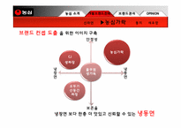 [브랜드전략] 농심의 브랜드 관리-18