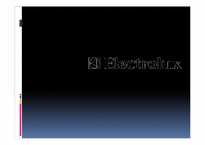 [국제경영학] 일렉트로룩스 Electrolux의 M&A-1