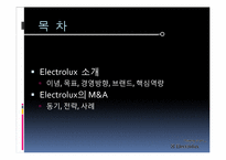 [국제경영학] 일렉트로룩스 Electrolux의 M&A-2