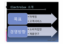[국제경영학] 일렉트로룩스 Electrolux의 M&A-5
