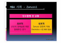 [국제경영학] 일렉트로룩스 Electrolux의 M&A-11