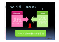 [국제경영학] 일렉트로룩스 Electrolux의 M&A-12
