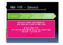 [국제경영학] 일렉트로룩스 Electrolux의 M&A-13