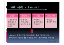 [국제경영학] 일렉트로룩스 Electrolux의 M&A-14