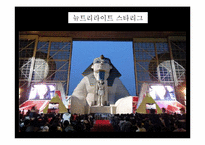 뉴트리라이트 홍보전략-18
