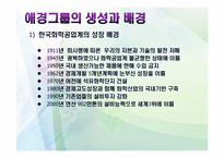 애경의 경영사와 경영전략-10