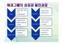 애경의 경영사와 경영전략-12