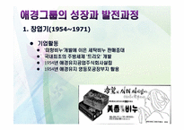 애경의 경영사와 경영전략-13