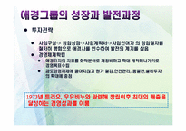 애경의 경영사와 경영전략-14