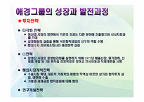 애경의 경영사와 경영전략-16
