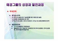 애경의 경영사와 경영전략-18