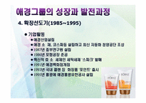 애경의 경영사와 경영전략-19