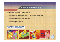 12장 글로벌 제품전략-6
