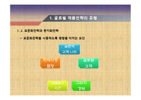 12장 글로벌 제품전략-11