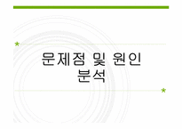 가맹점의 비정규직 인적자원관리 -cj푸드빌 뚜레쥬르-13