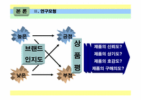브랜드와 상품평의 방향성이 소비자 구매에 미치는 영향-5