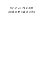 [소비자행동론] 뮤지컬 맘마미아 분석-1