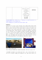 미국의 쓰레기 처리 실태와 이에 따른 정부의 대책-5