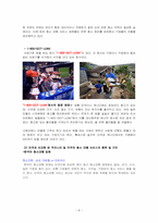 미국의 쓰레기 처리 실태와 이에 따른 정부의 대책-8
