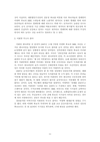 17대 대통령 선거과정 분석-7