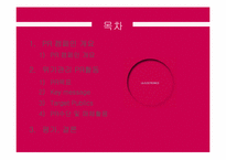 [홍보학] LG전자의 위기관리 PR 활동-2