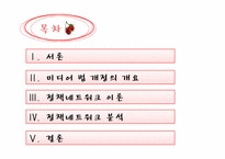[정책론] 미디어법 개정-2