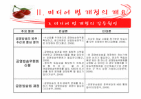[정책론] 미디어법 개정-13
