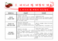 [정책론] 미디어법 개정-14