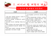 [정책론] 미디어법 개정-15