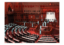 [일본정치외교론] 일본의 정치 스캔들-13