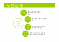 [가족복지] 노인문제-5