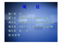 [지방행정론] 저탄소녹색성장 -인천시와 남양주시-2