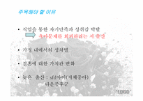 엠커브(M-Curve) 현상 -취업여성의 어려움-5