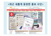 [정치커뮤니케이션] 선거 홍보와 뉴 미디어-5