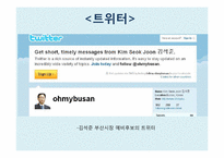 [정치커뮤니케이션] 선거 홍보와 뉴 미디어-13