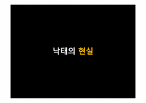 법률에 의한 낙태조사-4