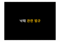 법률에 의한 낙태조사-8