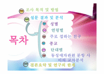 [사회조사] 대학교 학부생의 성의식 조사-2