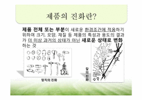 컴퓨터 운영체제를 중심으로 살펴 본 제품진화 의 역사-4